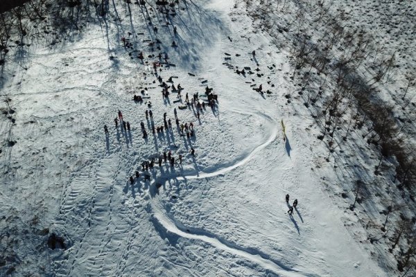 Кракен нарколог