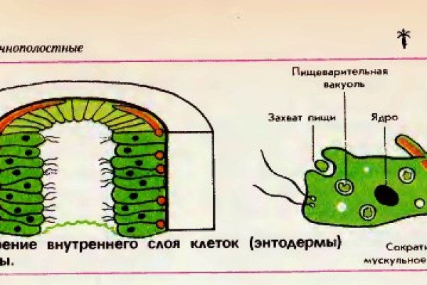 Кракен в обход